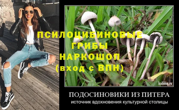 стафф Липки
